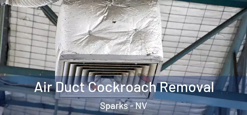 Air Duct Cockroach Removal Sparks - NV