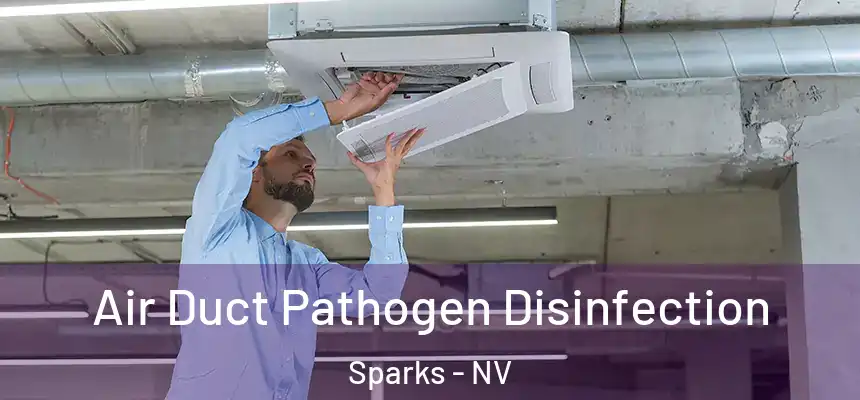 Air Duct Pathogen Disinfection Sparks - NV