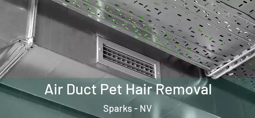 Air Duct Pet Hair Removal Sparks - NV
