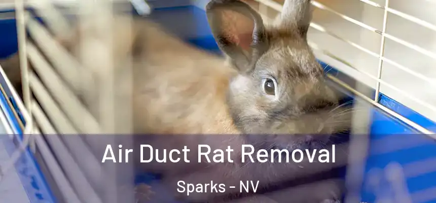 Air Duct Rat Removal Sparks - NV