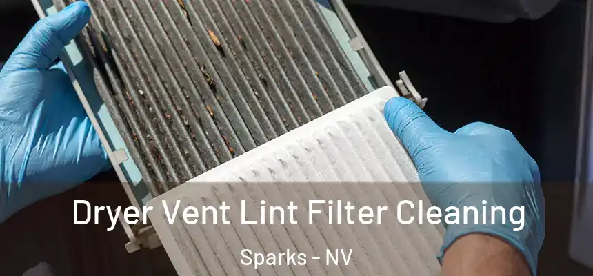 Dryer Vent Lint Filter Cleaning Sparks - NV