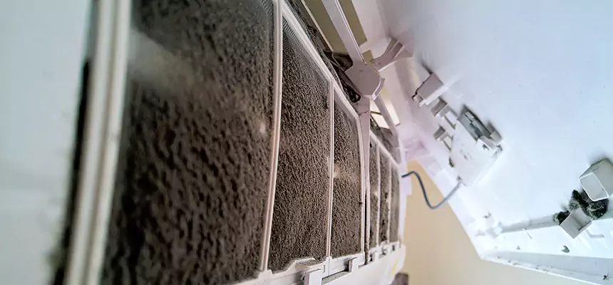 Preventive Air Duct Bacteria Removal in Sparks