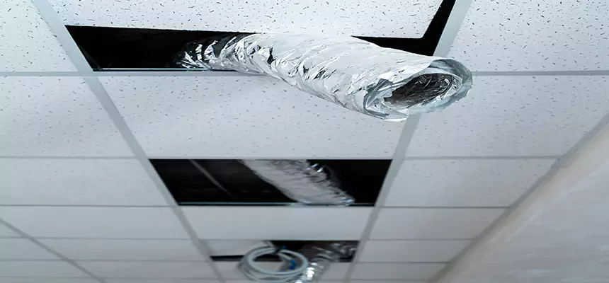 Our Air Duct Pet Hair Removal Services in Sparks, NV