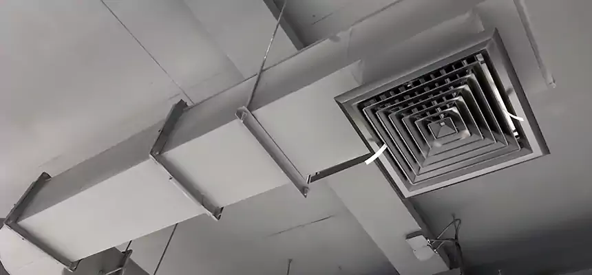 Our Pest Removal From Ducts Services in Sparks, NV