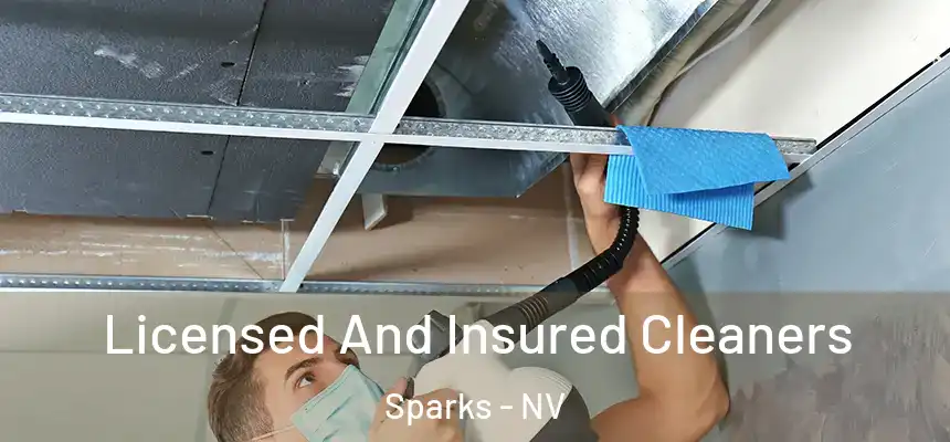 Licensed And Insured Cleaners Sparks - NV