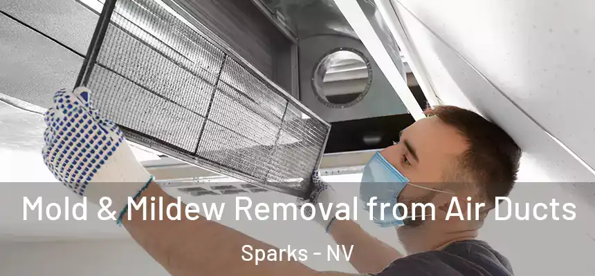 Mold & Mildew Removal from Air Ducts Sparks - NV