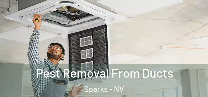 Pest Removal From Ducts Sparks - NV
