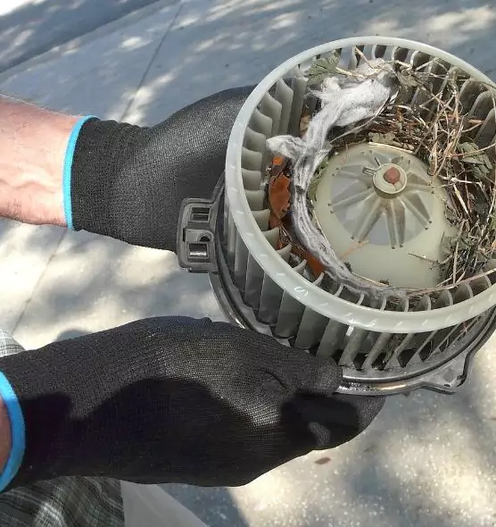 About Air Duct Mice Removal in Sparks, NV