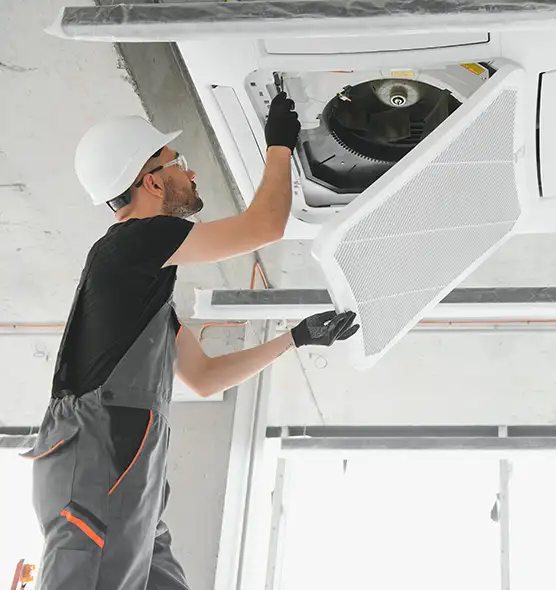 About Air Duct Rodent Removal in Sparks, NV