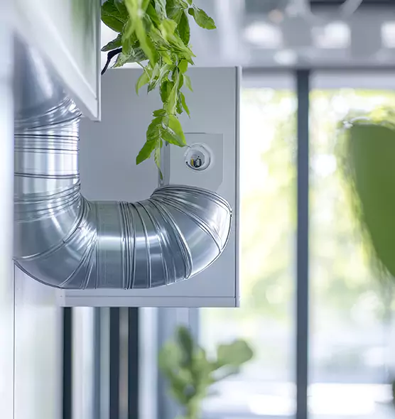 Professional Eco-Safe Dryer Vent Cleaning in Sparks, NV