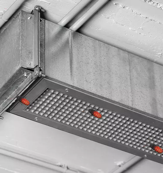 Affordable Insect Removal from Air Ducts in Sparks, NV