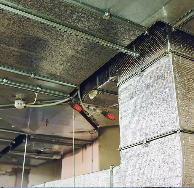 Why Homeowners & Businesses Trust Us in Sparks, NV?