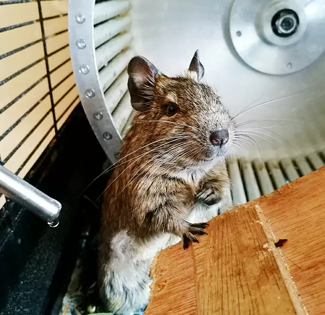 Why Homeowners & Businesses Trust Us Sparks, NV