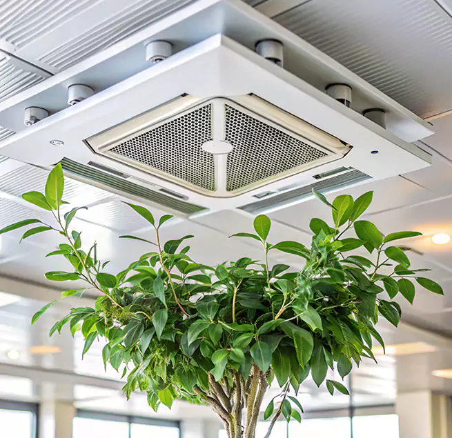 Why Homeowners & Businesses Trust Us in Sparks, NV?